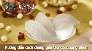 chung-yen-tao-do-duong-phen