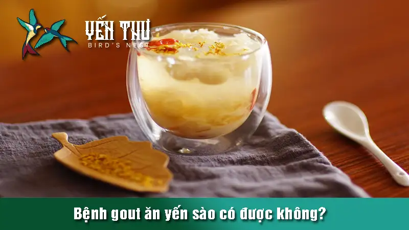 benh-gout-an-yen-sao-co-duoc-khong-1