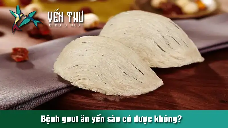 benh-gout-an-yen-sao-co-duoc-khong-2