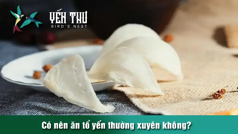 co-nen-an-to-yen-thuong-xuyen-khong-1