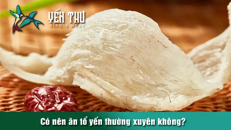 co-nen-an-to-yen-thuong-xuyen-khong