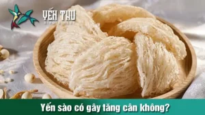 yen-sao-co-gay-tang-can-khong