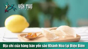 yen-sao-tai-dien-bien