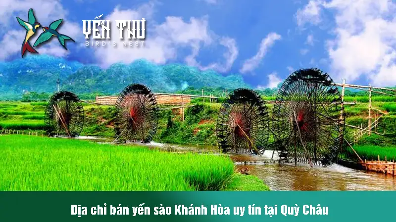 yen-sao-tai-quy-chau