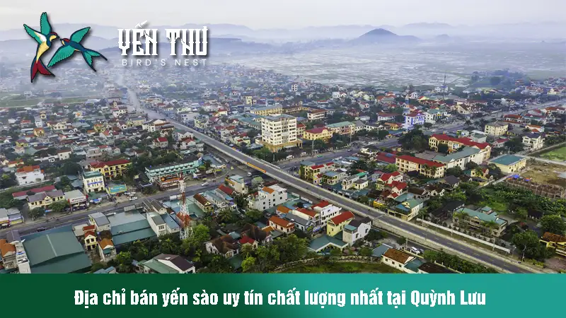 yen-sao-tai-quynh-luu