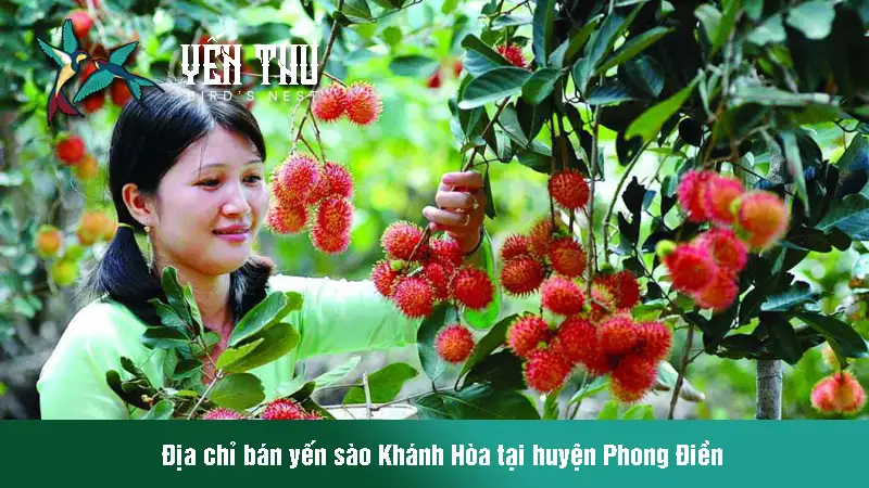 yen-sao-tai-huyen-phong-dien